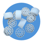 biomidias